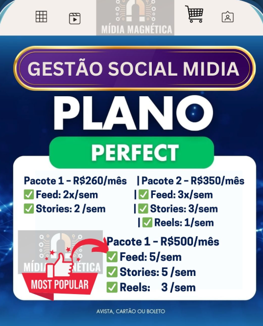 PACOTE 1 - GESTÃO SOCIAL MÍDIA - MÍDIA MAGNÉTICA